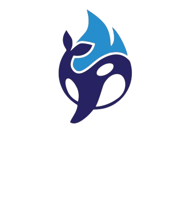 Blue Orca Logo